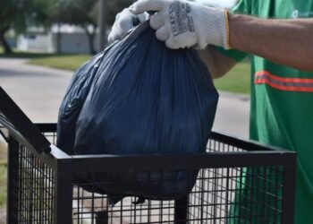 Quinto domingo del mes: Sin recolección de residuos de patio
