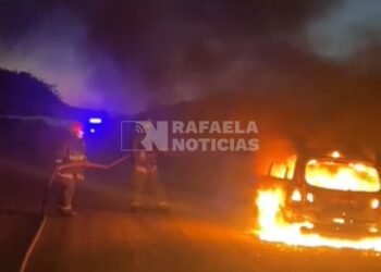 Se incendió un auto en la zona rural de Lehmann