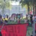 Los hinchas de Newell’s copan el Parque de los Eucaliptos