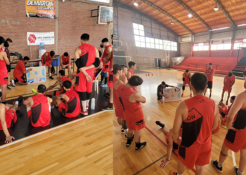 Histórico: Colón jugará futsal en AFA y representará a Santa Fe en la División D