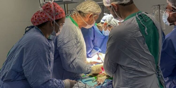 Cudaio: cuatro donaciones de órganos en 72 horas en la Provincia de Santa Fe