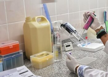 Salud pública: Santa Fe agiliza el diagnóstico de psitacosis con tecnología propia