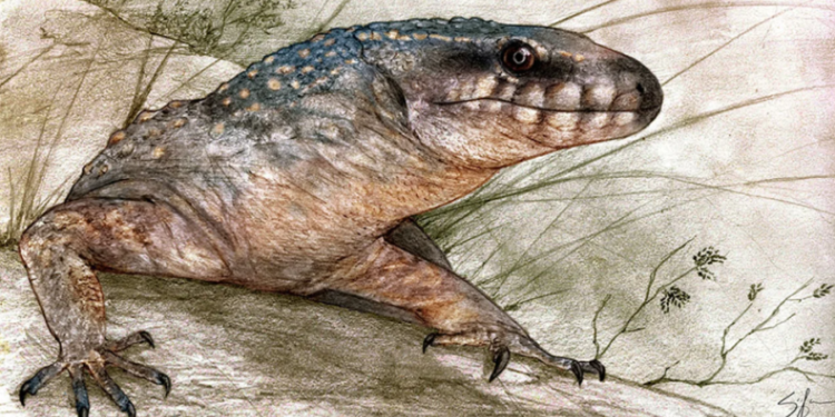 Hallan en la Patagonia un reptil de 70 millones de años y logran reconstruirlo digitalmente