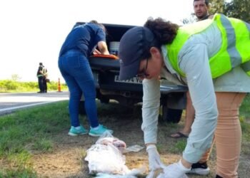 Ambiente reforzó controles para Semana Santa y sancionó a dos frigoríficos pesqueros