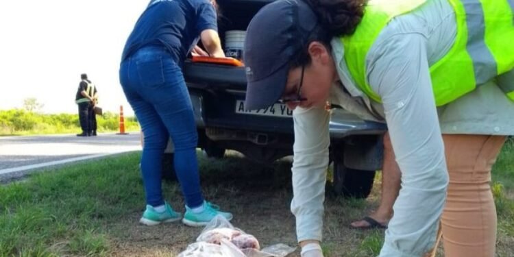 Ambiente reforzó controles para Semana Santa y sancionó a dos frigoríficos pesqueros