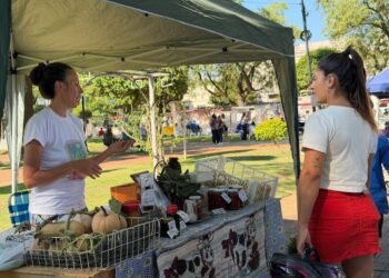 Otro domingo de Feria desde el Origen