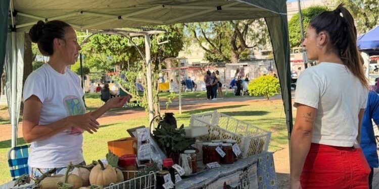 Otro domingo de Feria desde el Origen