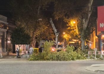 Corte de tránsito por trabajos de poda en pleno microcentro de Rafaela
