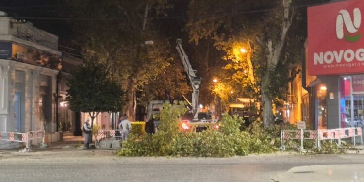 Corte de tránsito por trabajos de poda en pleno microcentro de Rafaela