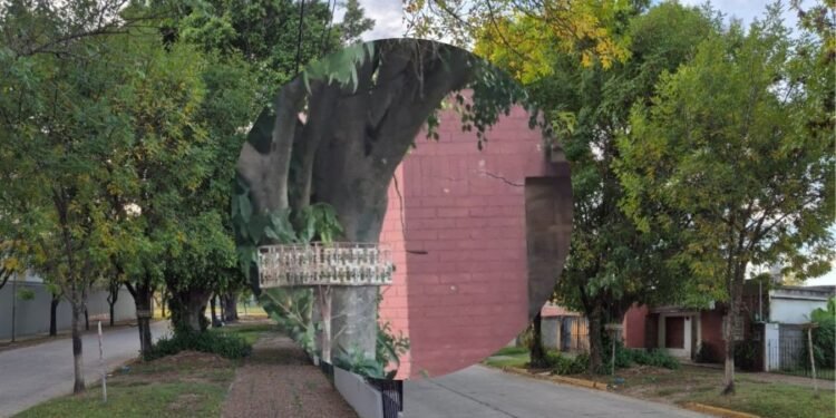 Vecinos de calle Domingo Silva reclaman por un árbol que daña viviendas y afecta la seguridad
