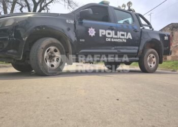Un automovilista chocó contra un búfalo en la Ruta 34