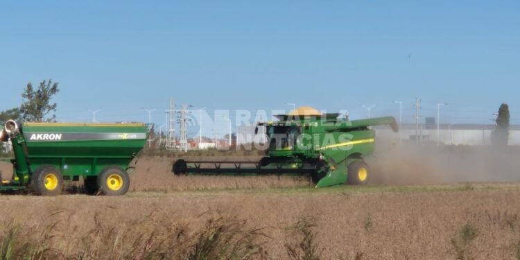Las exportaciones de Santa Fe crecieron un 16,4% en el primer trimestre de 2026 ¿Cómo impacta en Rafaela?
