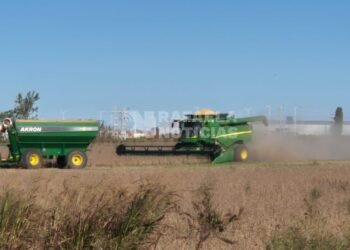 Las exportaciones de Santa Fe crecieron un 16,4% en el primer trimestre de 2026 ¿Cómo impacta en Rafaela?