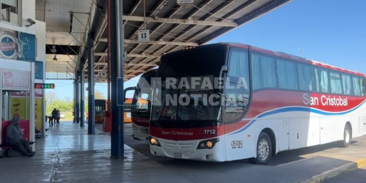 La polémica medida del Gobierno nacional que afecta un beneficio clave de miles de pasajeros