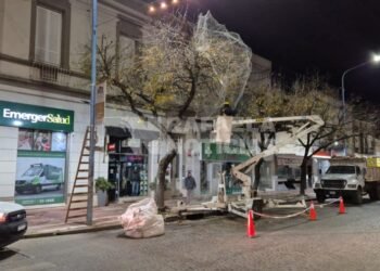Redes contra aves en el centro: dónde ya fueron colocadas y cuáles serán las próximas cuadras