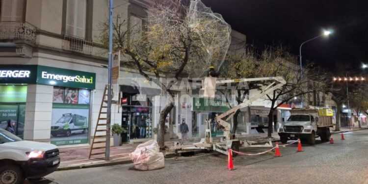 Redes contra aves en el centro: dónde ya fueron colocadas y cuáles serán las próximas cuadras