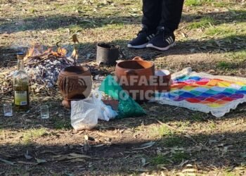 Pueblos Originarios reclaman al Concejo por el uso del Parque Awyayala