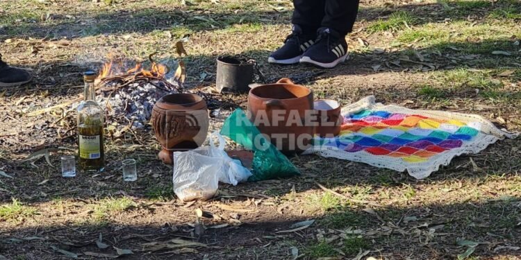 Pueblos Originarios reclaman al Concejo por el uso del Parque Awyayala
