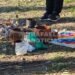 Pueblos Originarios reclaman al Concejo por el uso del Parque Awyayala
