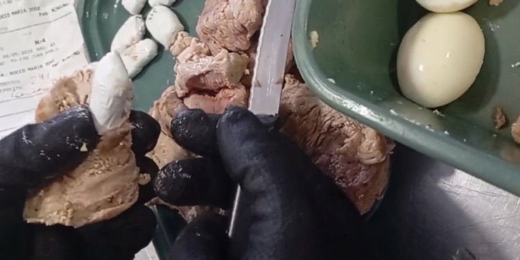 Fue a visitar a un preso con bifes de carne, pero la requisa descubrió un insólito secreto en el interior de la comida
