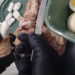 Fue a visitar a un preso con bifes de carne, pero la requisa descubrió un insólito secreto en el interior de la comida