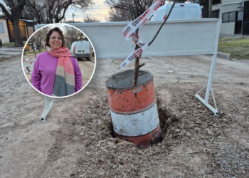 ¿Crónica de un final anunciado? Un camión de basura atrapado expuso el grave peligro que esconden las calles en el norte de la ciudad