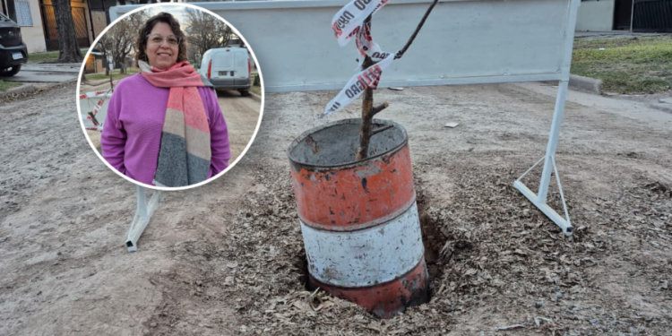 ¿Crónica de un final anunciado? Un camión de basura atrapado expuso el grave peligro que esconden las calles en el norte de la ciudad