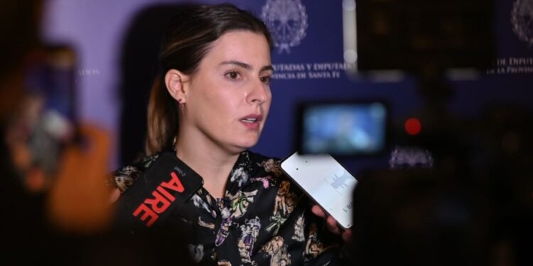 Cattalini: «Santa Fe exigirá ficha limpia a quienes hagan negocios con el Estado»