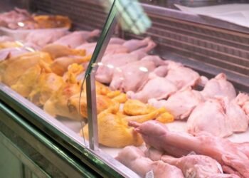 El pollo se consolida como la carne más consumida en Argentina y ya supera a la vacuna
