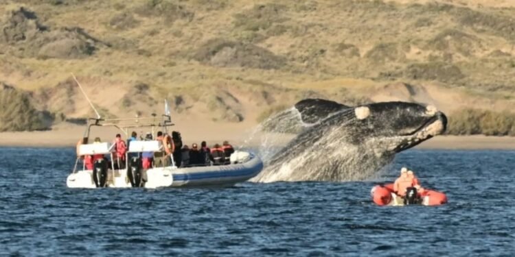 El Mundial de Fútbol 2026 y la economía frenaron el feriado de junio: fuerte caída del turismo interno