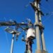 Cortes programados: la EPE interrumpirá el servicio eléctrico en tres barrios este domingo