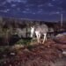 El impactante video que expone la crítica situación de un barrio de Rafaela: montañas de basura y un caballo suelto