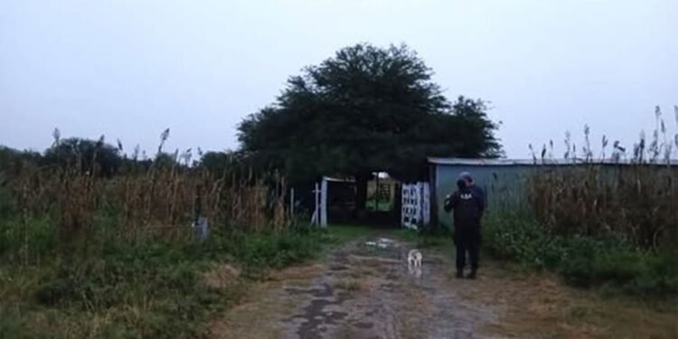Entró a una casa sin medidas de seguridad y dejó al dueño atado a una escalera por un botín insólito