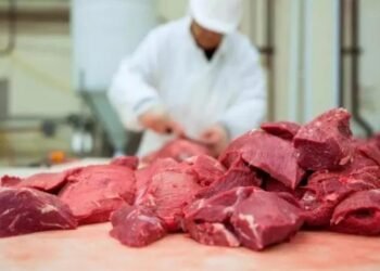 Consumo de carne vacuna: se desplomó en el primer semestre y tocó su nivel más bajo en 30 años