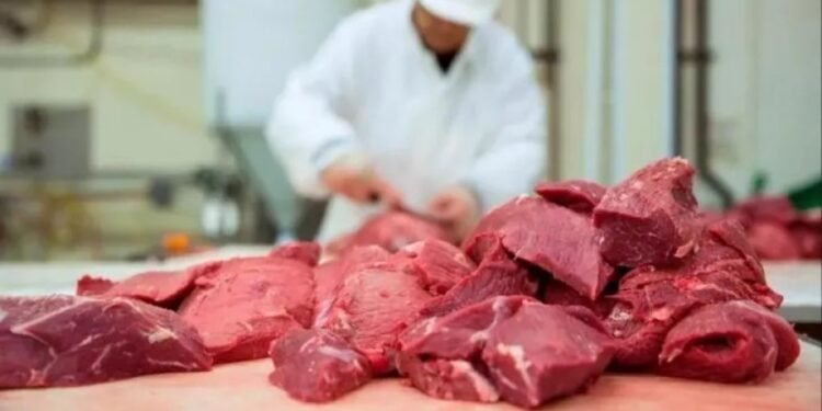Consumo de carne vacuna: se desplomó en el primer semestre y tocó su nivel más bajo en 30 años