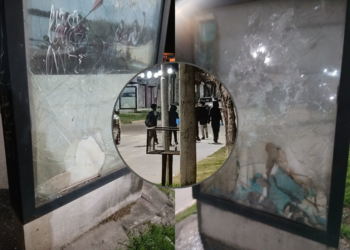 Vidrios rotos y portones pateados: el crónico accionar de un grupo de menores que tiene cansados a los vecinos