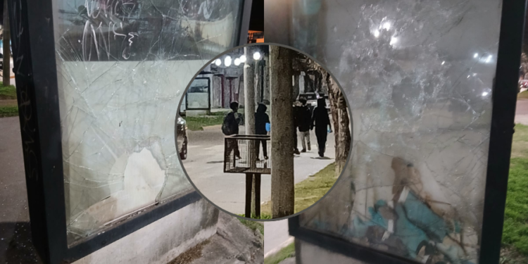 Vidrios rotos y portones pateados: el crónico accionar de un grupo de menores que tiene cansados a los vecinos
