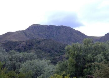 Alerta en Córdoba: un sismo de magnitud 4 sacudió a varias localidades