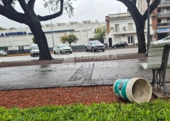 El Senado buscará restituir la prohibición de los cuidacoches en Santa Fe