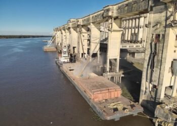 Aduana Rafaela: en los primeros 5 meses del año, las exportaciones alcanzaron los 172 millones de dólares