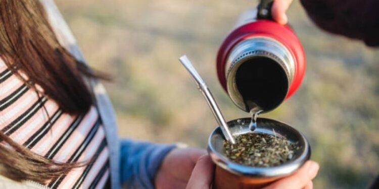 El mate perfecto según un experto rafaelino: claves técnicas y mitos desterrados para una mejor experiencia