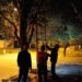 Rescataron a un gato que había quedado atrapado en un árbol en Rafaela