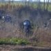 Tragedia en la Ruta 26: ya son cuatro los muertos por el vuelco en Casilda y detuvieron al conductor