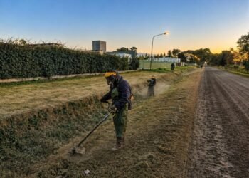 El municipio intensifica el mantenimiento de espacios verdes con un plan rotativo en toda la ciudad