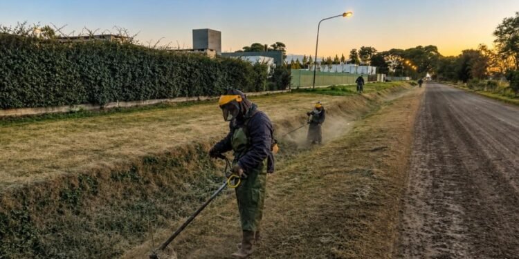 El municipio intensifica el mantenimiento de espacios verdes con un plan rotativo en toda la ciudad