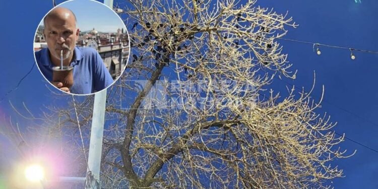 Tras la publicación de Rafaela Noticias, ambientalistas nacionales se hicieron eco de la situación en la ciudad