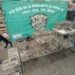 Rescataron más de 20 aves silvestres que estaban en cautiverio en Nueva Lehmann