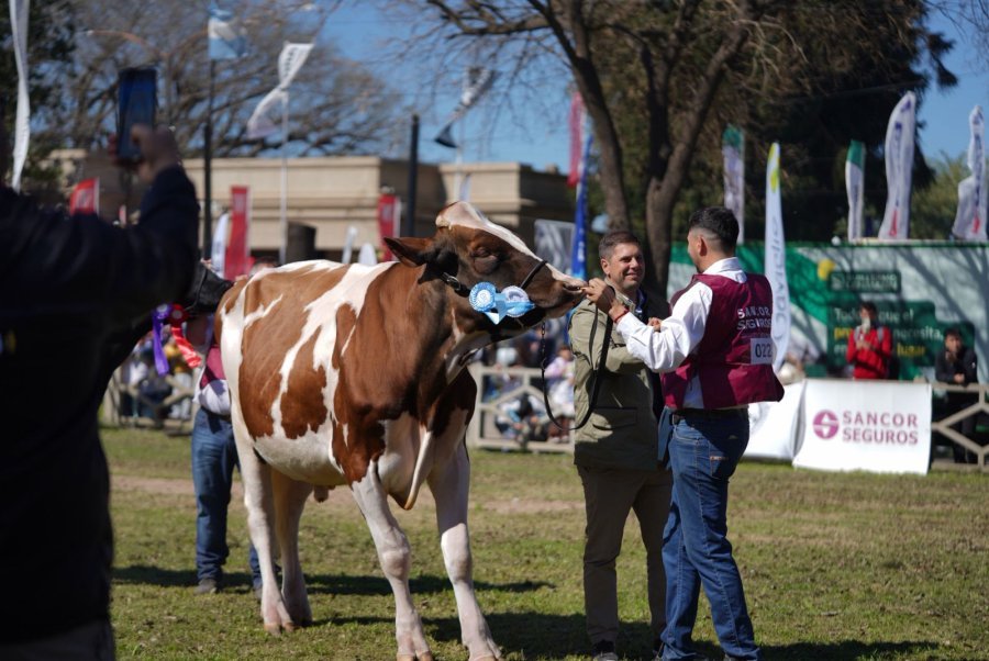 Leonardo Alassia, premiando al Gran Campeón Macho.