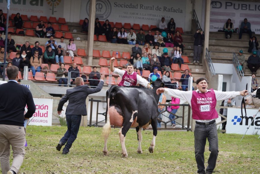 Krohlow y el palmoteo a la Gran Campeona, Cristal.