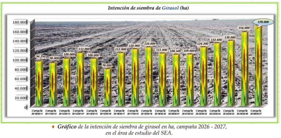 Intención de siembra total de girasol en la Región Centro Norte de Santa Fe.